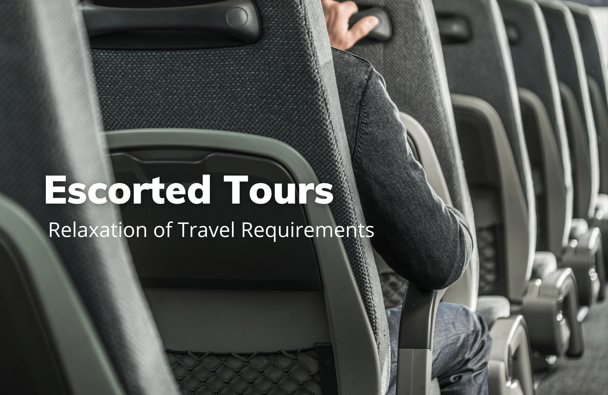 travel solutions bus tours