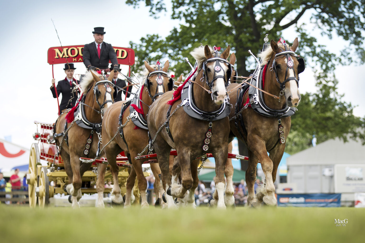 Scotland Royal Highland Show 2026 2 Nights scotland-royal-highland-show-2026-2-nights